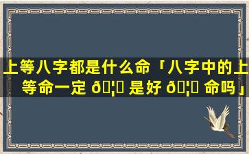 上等八字都是什么命「八字中的上等命一定 🦁 是好 🦈 命吗」